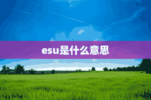 esu是什么意思(esu是什么意思中文)